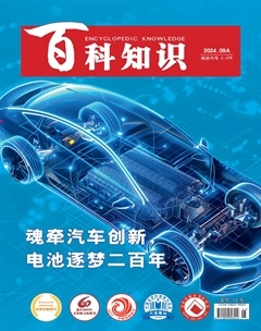 2024年17期