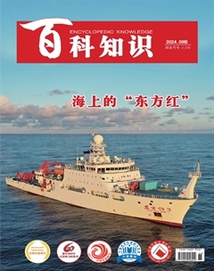 2024年18期