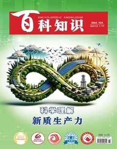 2024年19期