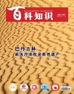 2024年20期
