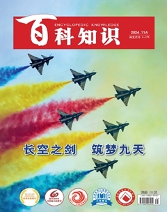 2024年21期