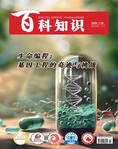 2024年22期
