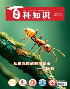 2024年23期