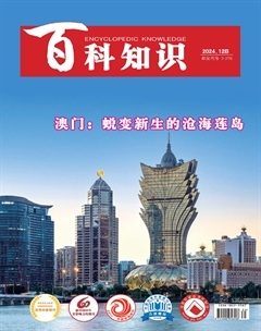 2024年24期