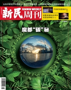 2024年21期