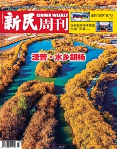 2024年43期