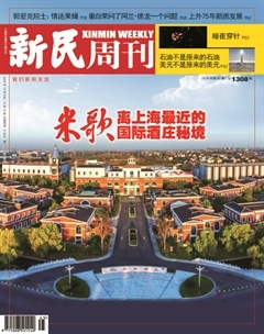 2024年45期