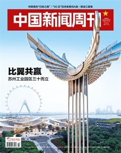 2024年42期