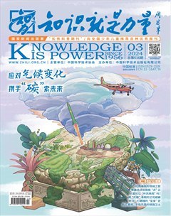 2024年03期