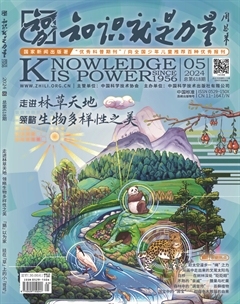 2024年05期