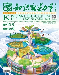 2024年09期