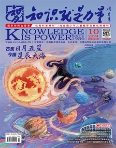 2024年10期