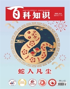 2025年01期