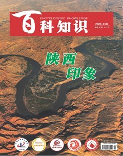 2025年02期
