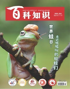 2025年05期